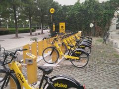 -同济大学(嘉定校区)