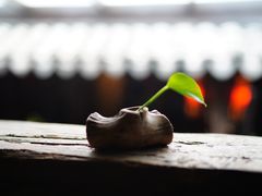 -普洱茶府(博乐广场店)