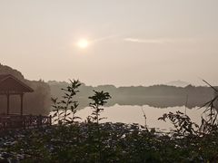 -上海市保健医疗中心