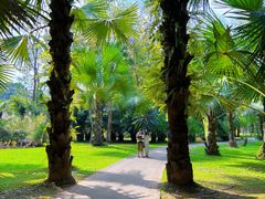 -中国科学院西双版纳热带植物园