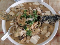 -煲来饱去冷水鱼