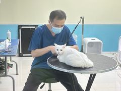 -天宠宠物医院24小时·急重症诊疗中心·全科·腔镜特色(和平分院)