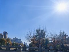 -魏家凉皮(大差市店)