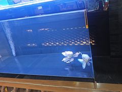-常赢三兄弟·清真涮肉·清真炒菜(朝阳新城店)