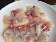 -港升鱼师傅·中山脆肉鲩