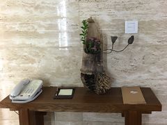 -九华山聚龙大酒店