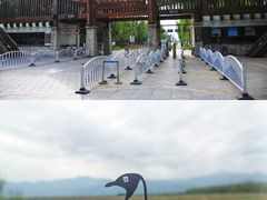 -野鸭湖国家湿地公园