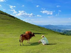 -大姆山草场