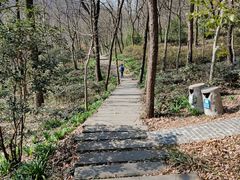 -南京老山国家森林公园