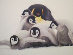 -罗红摄影艺术馆