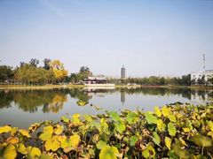 -西海子公园