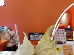 -野人先生现做冰淇淋(北京王府井东方新天地店)