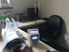 四诊室-美联众合动物医院·24h京西诊疗中心