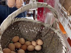 -马陆小张葡萄园农家乐