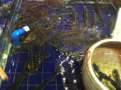 -79号渔船海鲜饭店(华强北店)