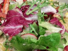 -紫光园·烤鸭·北京菜(劲松店)