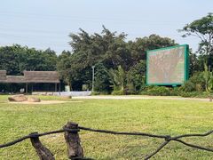 -广州长隆飞鸟乐园