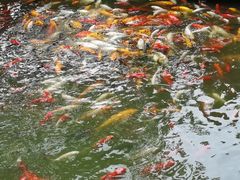 -天河潭旅游度假区