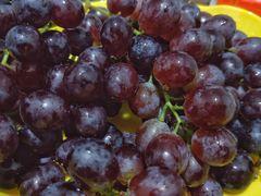 -文昌邓记清补凉(西沙路店)