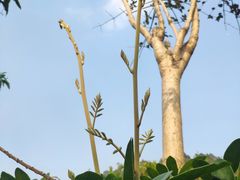 -广州神农草堂中医药博物馆