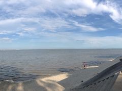 -北海金海湾红树林生态旅游区