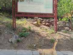 -北京十三陵国家森林公园蟒山景区