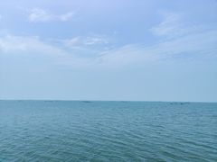 -滕州微山湖红荷湿地景区