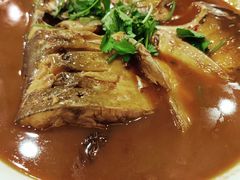 -邵年鸽(杨庄店)