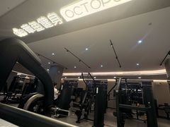 -章鱼健身 Octopus