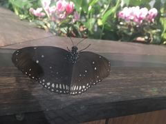 -上海昆虫博物馆