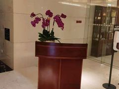 -广州白云机场铂尔曼大酒店·恬园创意中餐厅