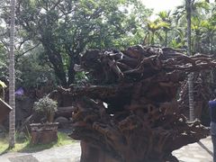 -海口火山口国家地质公园