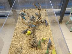 -怪兽屋·羊驼·猫咖·狗咖(俊华广场店)