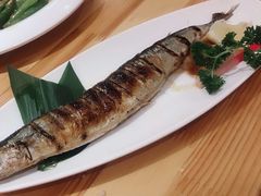 -大江户·温泉洗浴(浑南店)