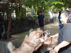 -TrueLove @ Neverland (Husky Cafe)