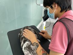 -爱洗澡的猫(望京店)