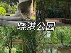 -晓港公园