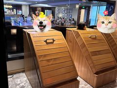 -海韵之星邮轮水会(明发商业广场店)
