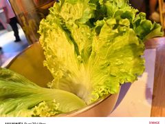 -杨记齐齐哈尔烤肉(总店)