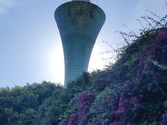 -狐尾山公园