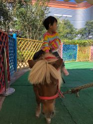 -萌宠亲子动物乐园(槐房万达店)