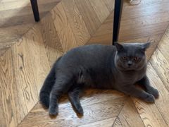 -Me Coffee下午茶艺术空间