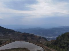 -紫鹊界梯田景区