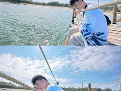 -汕尾风车岛