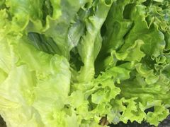 -老卜奎齐齐哈尔烤肉(人民东路店)