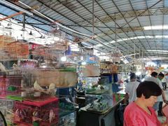 -万商花鸟市场