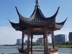 -春花秋色城市公园