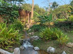 -东莞植物园