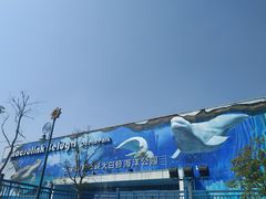 -芜湖新华联大白鲸海洋公园