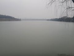 -羊山湖公园